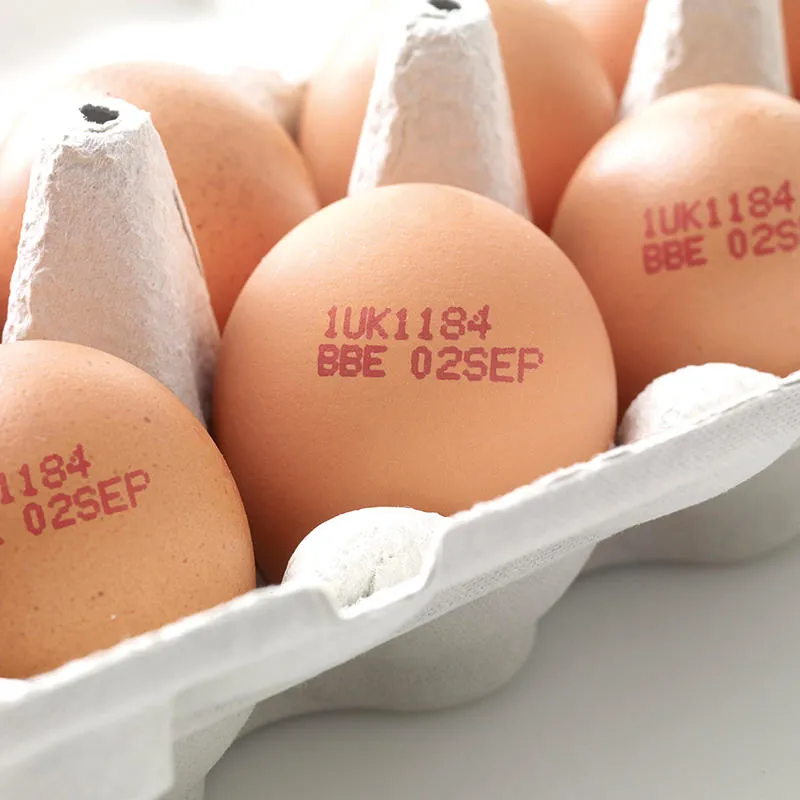 Image of an egg coded with CIJ Domino printers Ax-Series