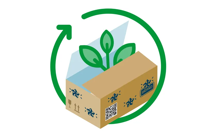 Sustainable Ecommerce Packaging Blog Visuals thumbnail