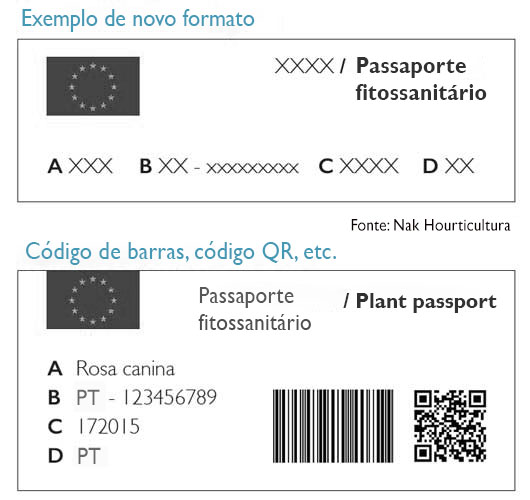 Está Preparado Para O Passaporte Fitossanitário? | Marque TDI